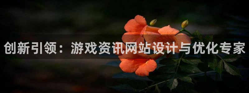 天美娱乐怎么注册：创新引领：游戏资讯网站设计与优化专家