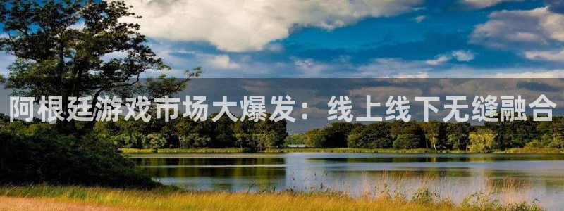 天美娱乐登陆测速：阿根廷游戏市场大爆发：线上线下无缝融合
