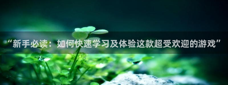 天美娱乐Ii：“新手必读：如何快速学习及体验这款超受欢迎的游