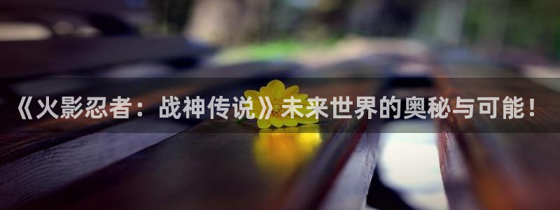 天美娱乐app下载地址：《火影忍者：战神传说》未来世界的奥秘