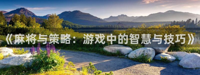 天美娱乐代理登陆：《麻将与策略：游戏中的智慧与技巧》