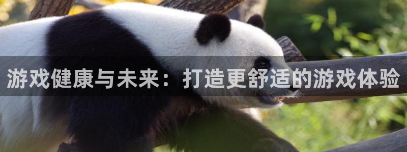 手机天美娱乐下载安装：游戏健康与未来：打造更舒适的游戏体验