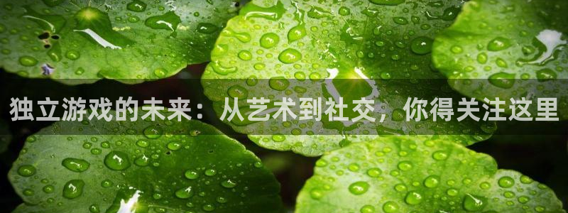 天美娱乐什么意思：独立游戏的未来：从艺术到社交，你得关注这里